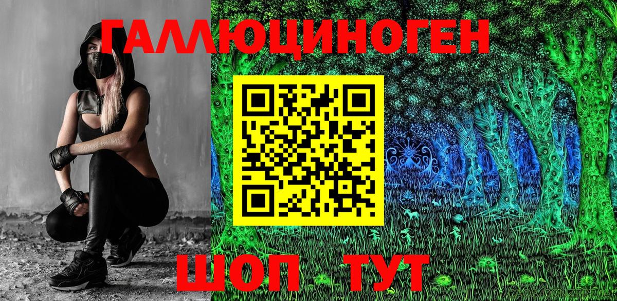 Ревда  Галлюциногенные грибы Psilocybine cubensis  Вход с VPN 